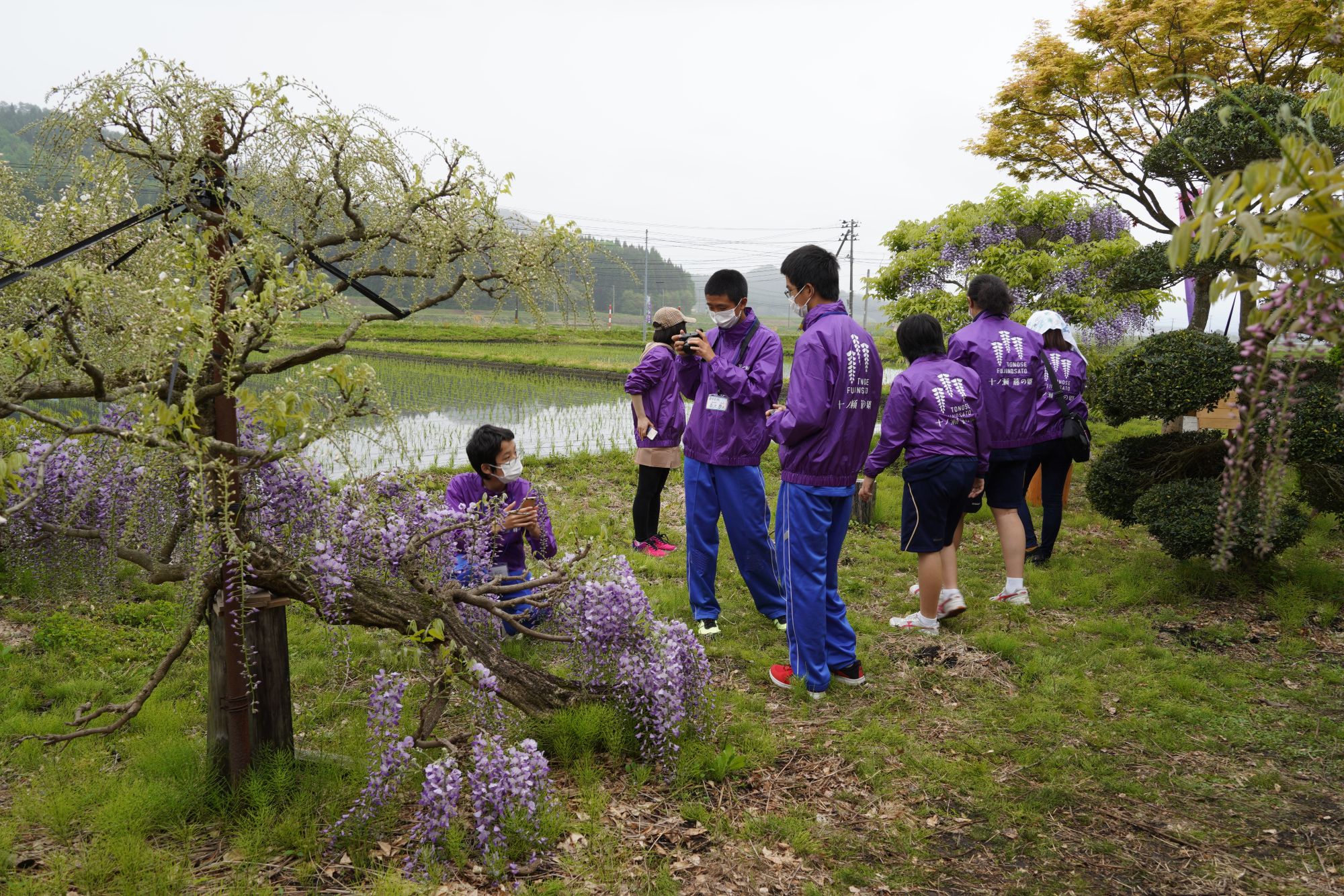 【十ノ瀬 藤の郷2021】職場体験記